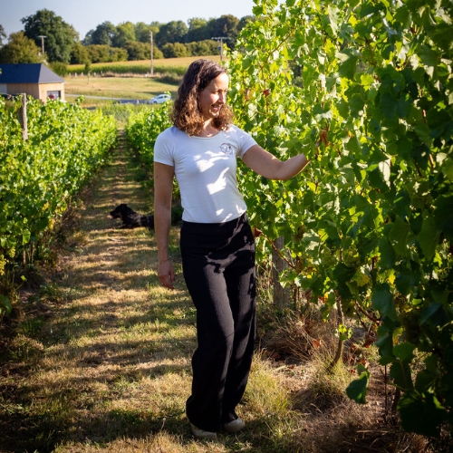 vignoble normand bourg achard eure
