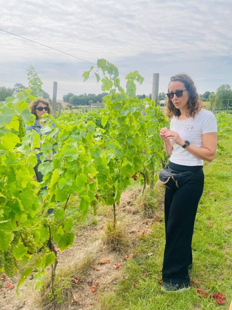 visite domaine Leprince vignoble normand