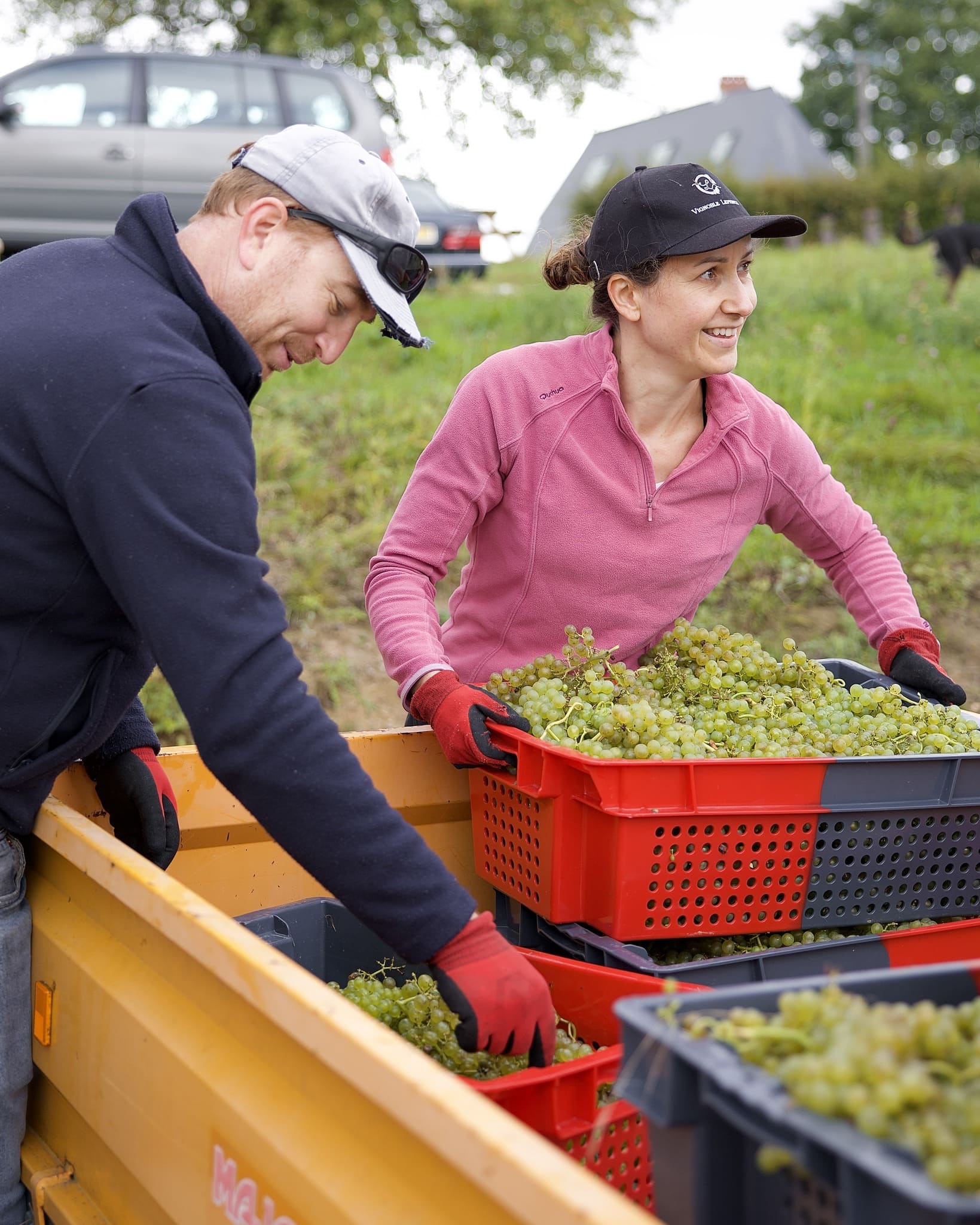 vin normand eure domaine leprince