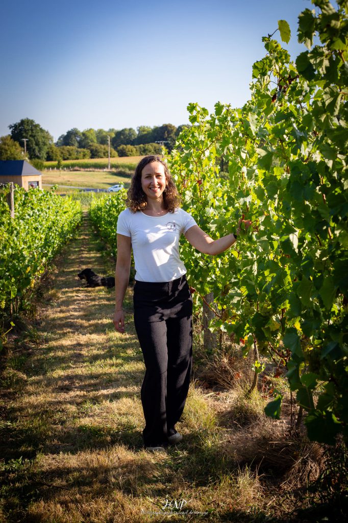 vignoble normand eure