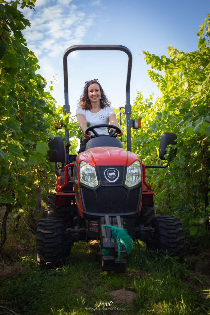 vignes en Normandie
