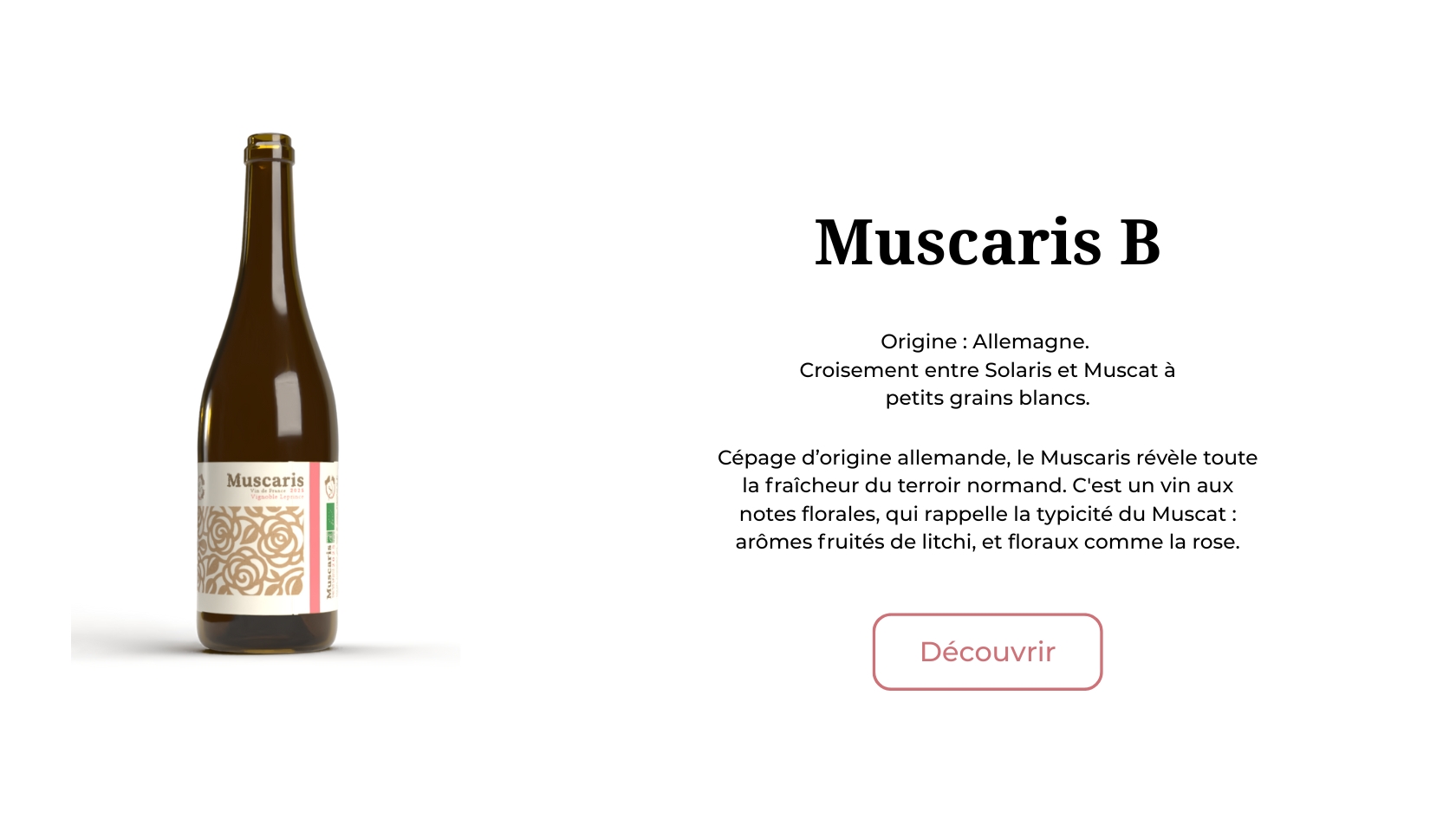 muscaris vin normand eure bourg achard