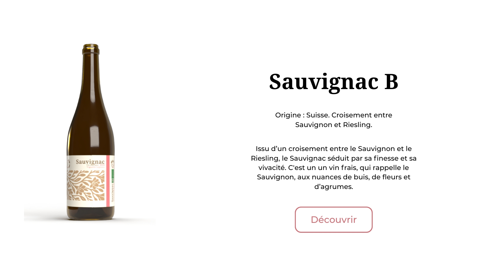 sauvignac vin normand eure bourg achard